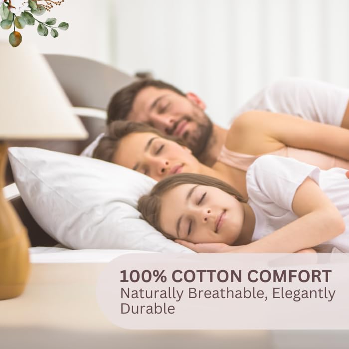 Italian Strip Pure Cotton Bedsheet - Image 4